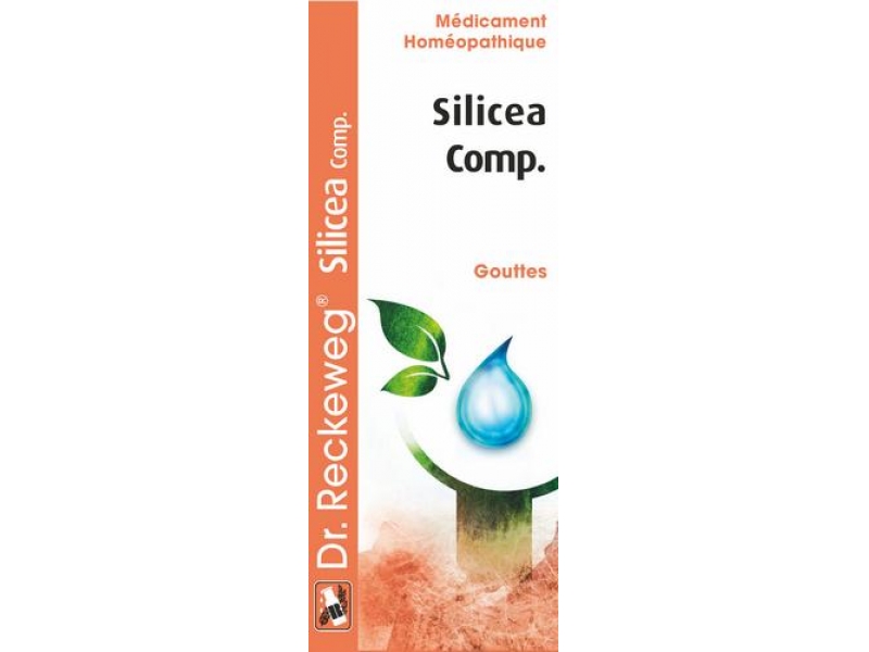 RECKEWEG R189 Silicea Comp. gouttes flacon 50 ml